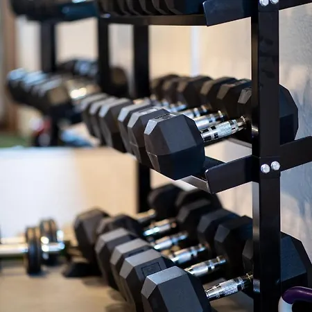 住宿加早餐酒店 Alpenhof 拉姆绍达赫斯坦