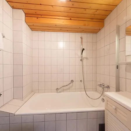 Alpenhof 3* רמסאו אם דכשטיין