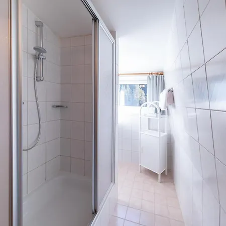 Alpenhof לינה וארוחת בוקר רמסאו אם דכשטיין